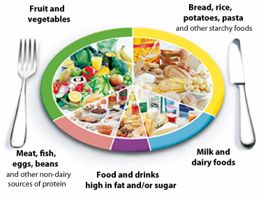 Eatwell plate eatwell plate Are you eating a healthy and balanced diet?