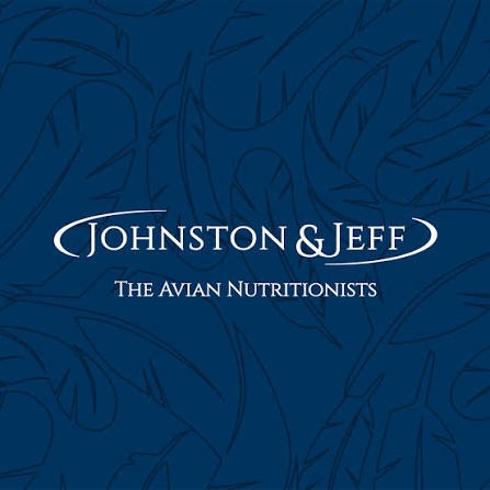 Johnson & Jeff