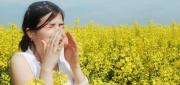 Hayfever & Allergy Relief