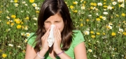 Hayfever and Allergy Relief