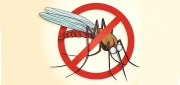 Malaria Prevention