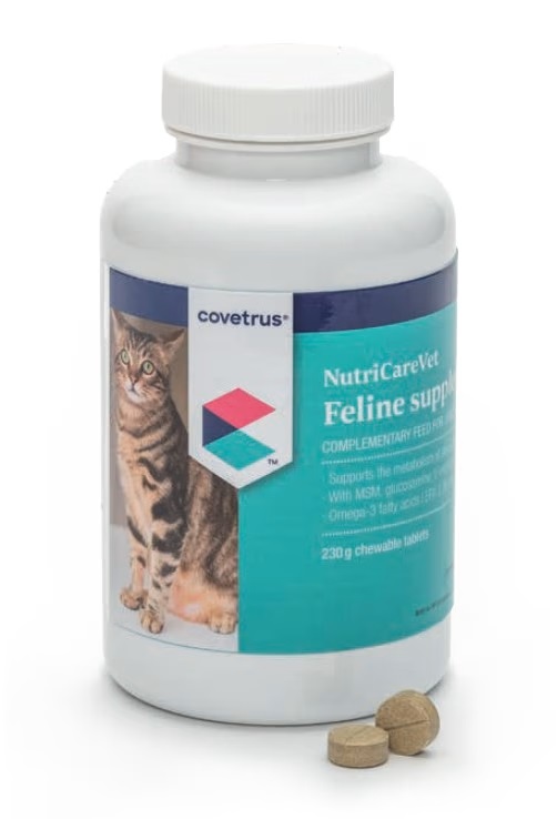 Msm for cats shop