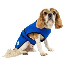 Ancol Ice Paws Cooling Dog Vest