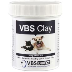 VBS Clay 100g