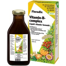 Floradix Vitamin-B Complex Liquid Vitamin Formula 250ml