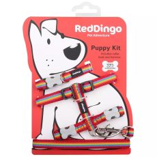 Red Dingo Puppy Kit - Rainbow