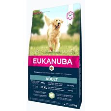 Eukanuba Adult Large Breed Dog Food - Lamb & Rice 12kg