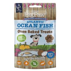 Little BigPaw Atlantic Ocean Fish Oven Baked Treats for Dogs (130g) 