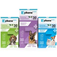 Zylkene Plus Calming Supplement - 30 Capsules