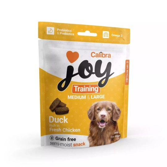 Large breed dog training on sale