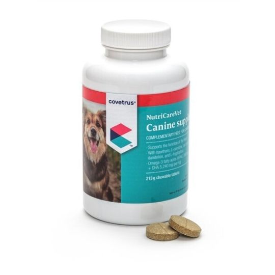 Canine chemist 2024