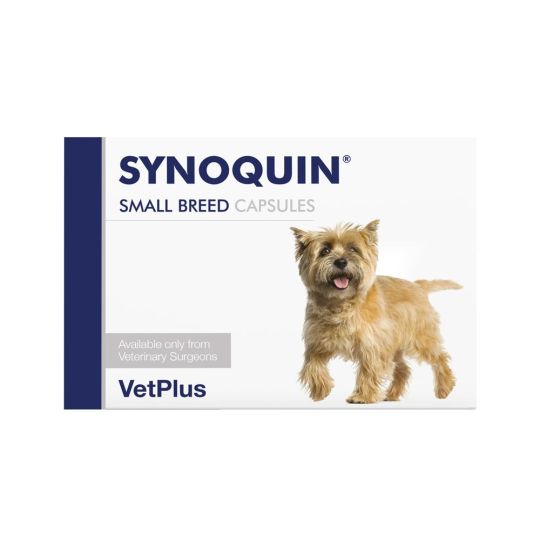Synoquin large shop breed tablets
