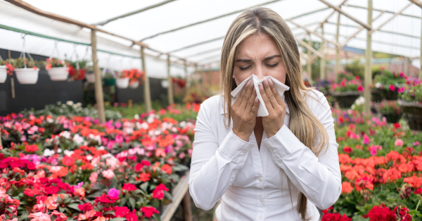 What is Hayfever & What’s the Best Way to Treat it?