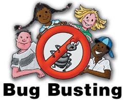 Bug Busting