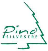 Pino Silvestre