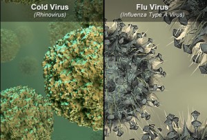 Cold_and_Flu_Virus