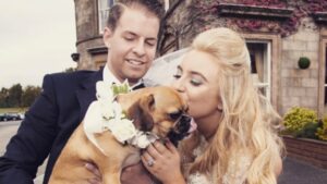 Dog_at_Wedding
