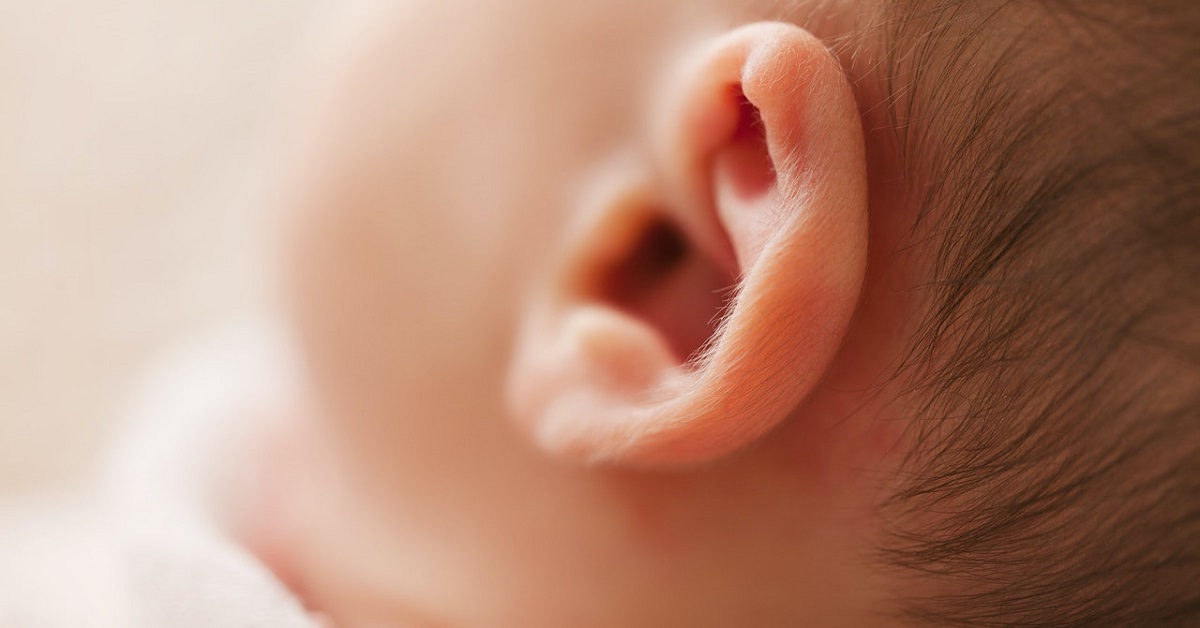 Baby ear