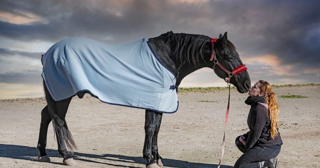 Keep Horse Warm In Winter