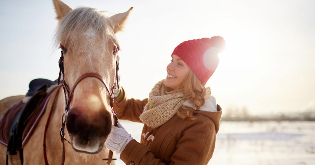 Keep Horse Warm In Winter