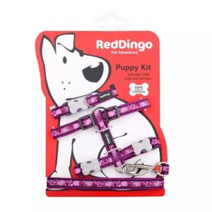 Red Dingo Puppy Kit - Purple Love Hearts